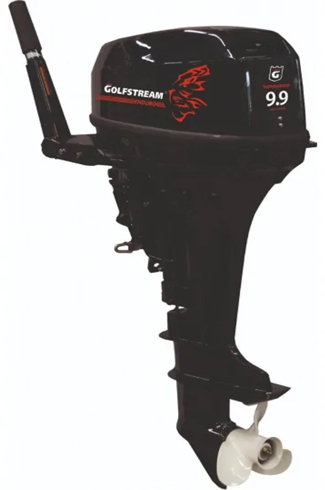 2х-тактный лодочный мотор GOLFSTREAM TE 9.9 BMS Enduro